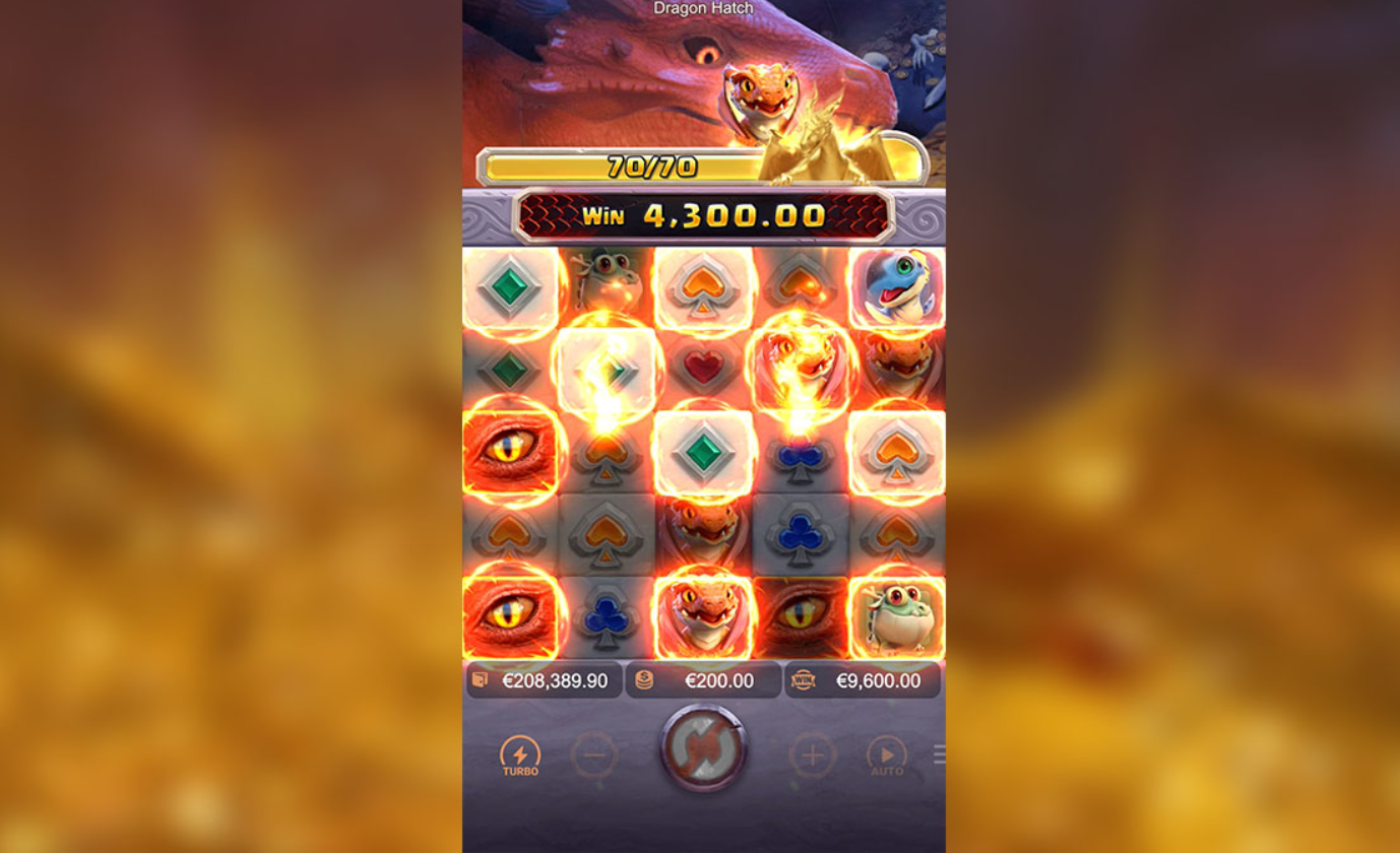 Melhor horário para jogar do Dragão